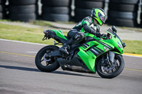 PJ-Motorsport-2019;anglesey-no-limits-trackday;anglesey-photographs;anglesey-trackday-photographs;enduro-digital-images;event-digital-images;eventdigitalimages;no-limits-trackdays;peter-wileman-photography;racing-digital-images;trac-mon;trackday-digital-images;trackday-photos;ty-croes